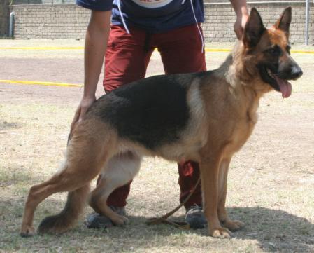 Linette (2003) LOI 03/123945