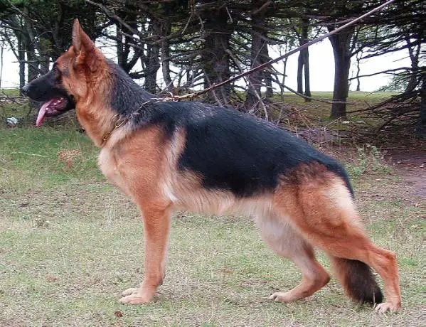 Cristal di Casa Massarelli 2007