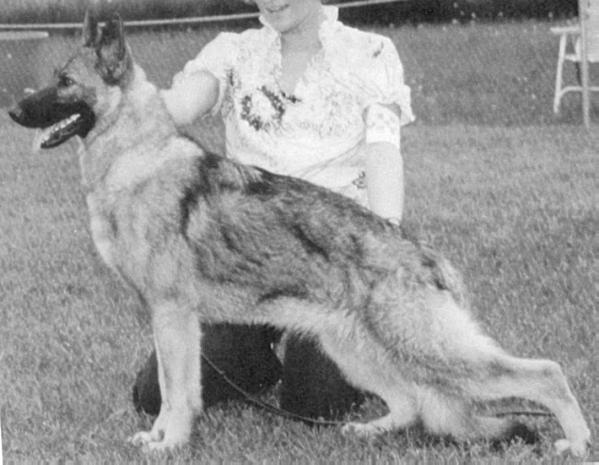 CH Hylock's Crackerjack