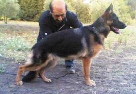 Vittoria dei Cimmeri mascar