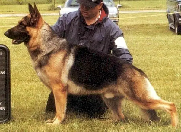 CH ( A/C) Gonvi Ruklakar's Cain Cade