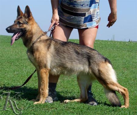 Wara od Policie Ceske republiky