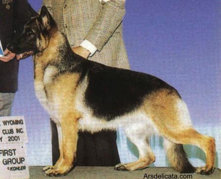 CH (US) Kaleef's Genuine Risk