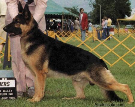 CH (US) Rayford Reiver