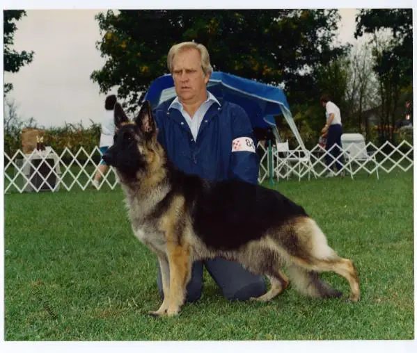 Stormy Romance by Staser