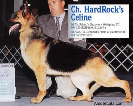 CH (US) Hardrock's Celine