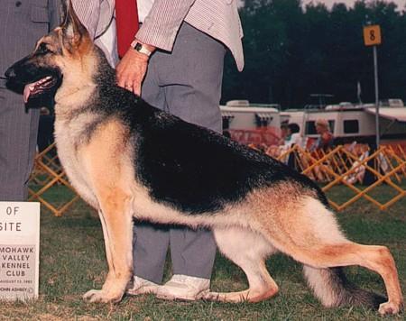 CH (US) Kismet-Landmark's Roulette