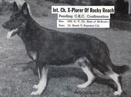 CH (INT) X-Plorer of Rocky Reach