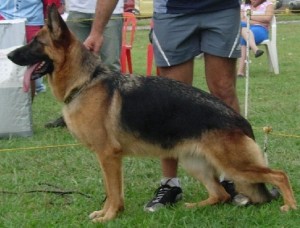 Uma von Kisman (2002)