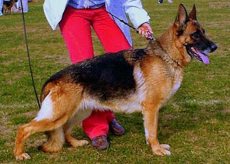Halva Von Heinrichplatz