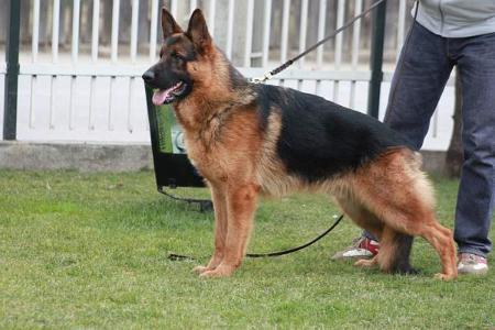 Winner Von Haus Bura