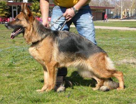 V- 1 Xana del Nuberu