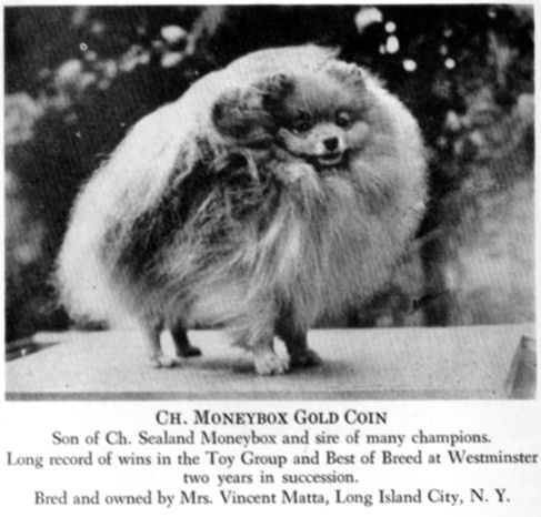 AM CH BIS Moneybox Gold Coin