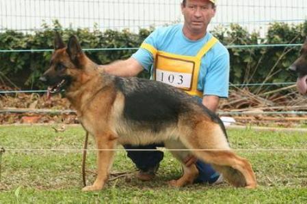 Reyka do Alto do Agavê