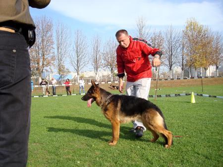 Zippo von der Brucknerallee