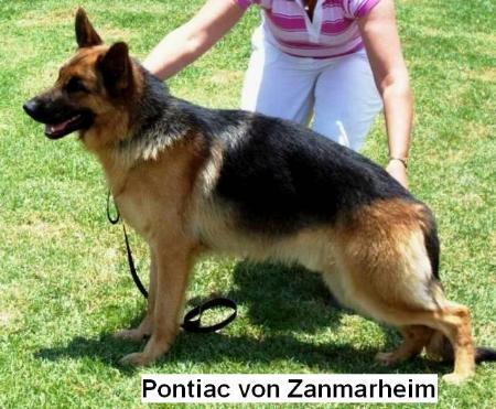 Pontiac von Zanmarheim