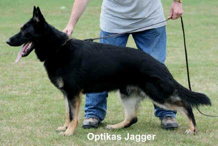 Optikas Jagger