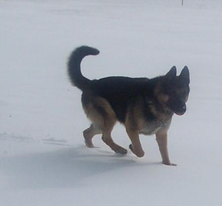 Mytime Black Horizon