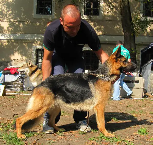 ROJCH Minka von Hausszente