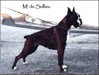 Mag de Sullieu