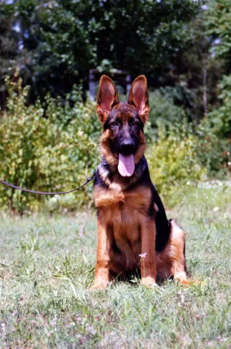 Ero von Gross Zuender