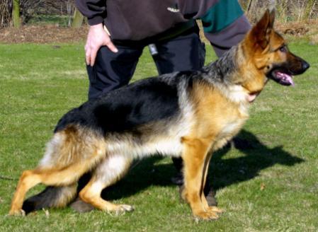 V Levi vom Holtkämper See