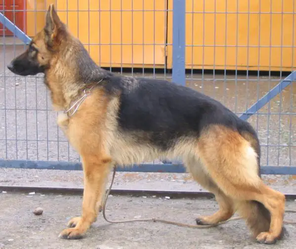 Quila Von Furstemberg