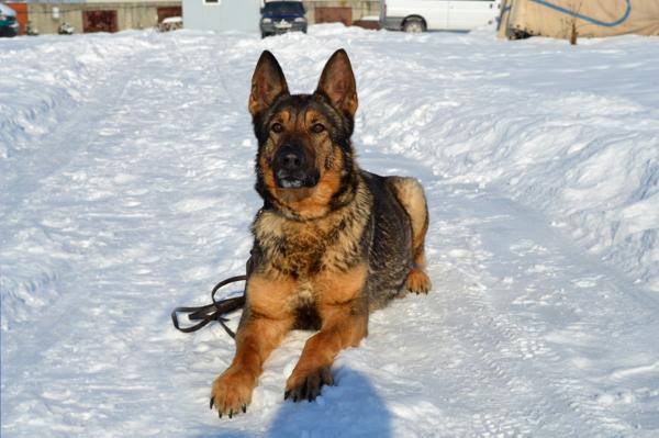 Devina von der Pfinzquelle