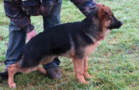 Uwe aus Famke's Zauberwald