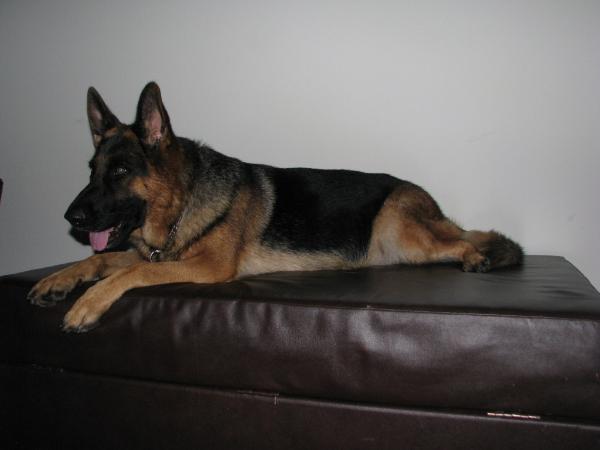 Fresy Von Rheinhardt