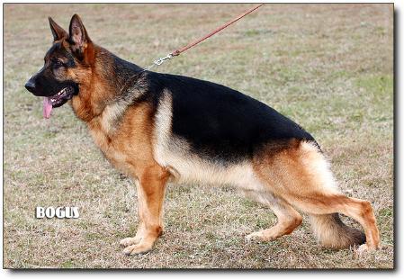 Box aus Quattrogarten