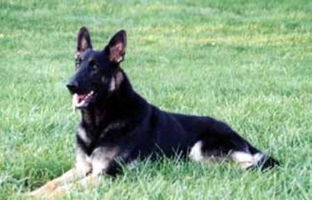 Jon-Nan's Outrageous