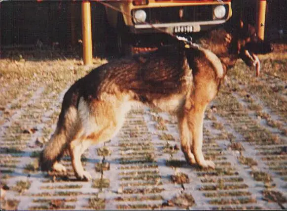 Heiko von der Hardter Höhe