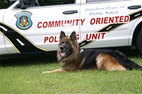 Jerry Lee vom Sterntal