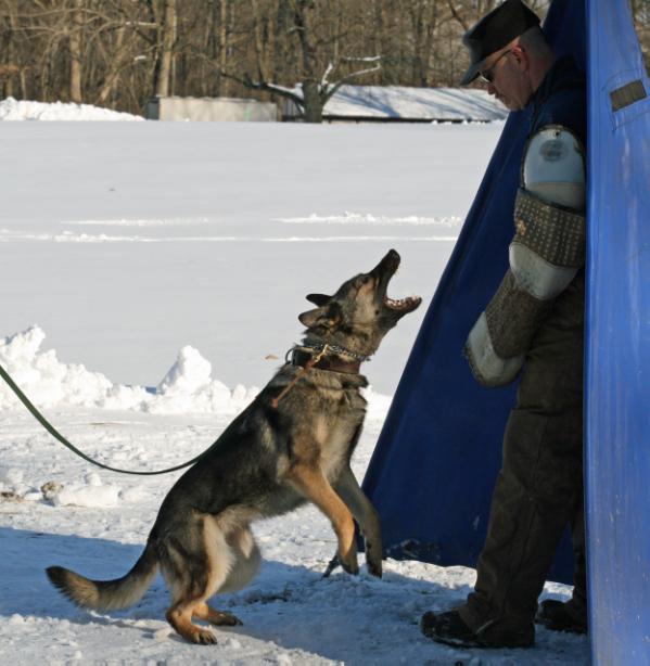 Farah Von Den Sportwaffen