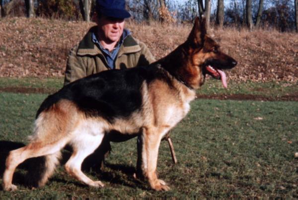 Enzo von Schloß Trotha