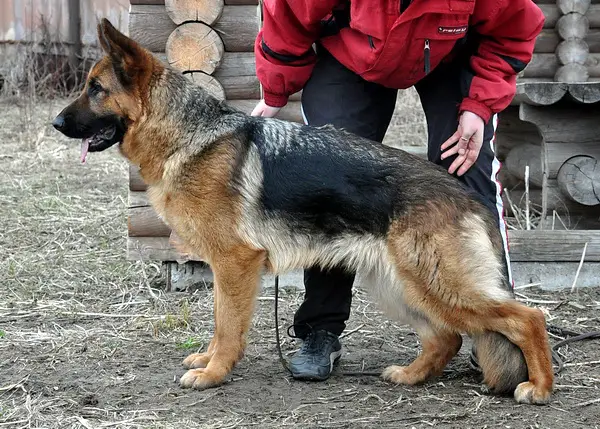 Zauberin Gipfel des Ruhmes