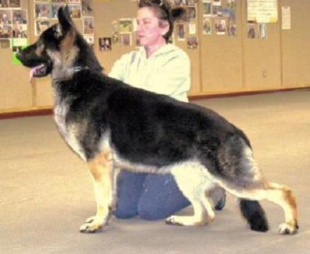 CH (US) Zimsu's Samuel Adams