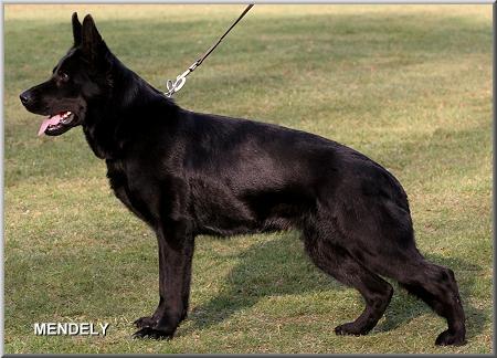 V Kaya von der Salztal-Höhe