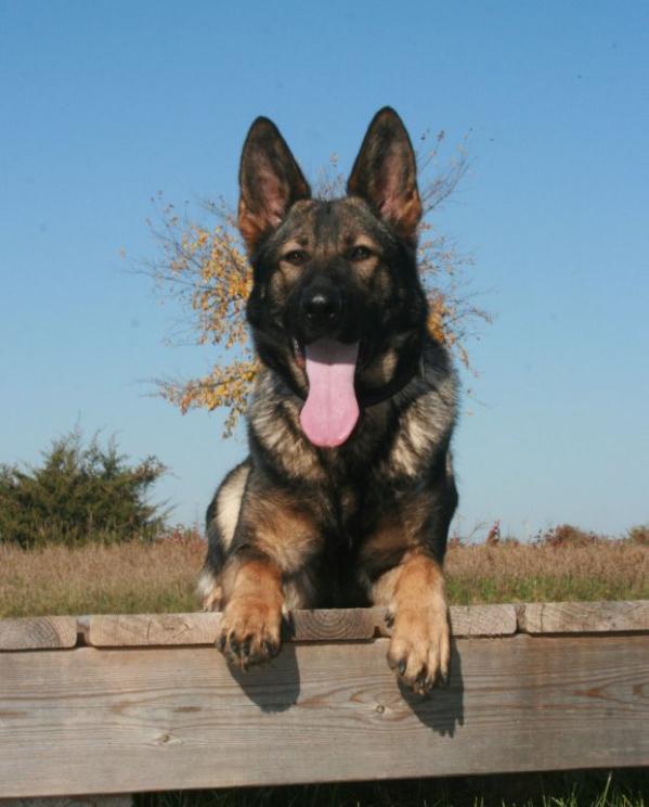 SG Ultra von der Staatsmacht