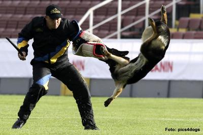 Mitch von der Pan-Pan