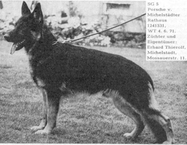 SG Porsche vom Michelstadter Rathaus