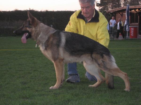 Blade von der schwarzen Magie