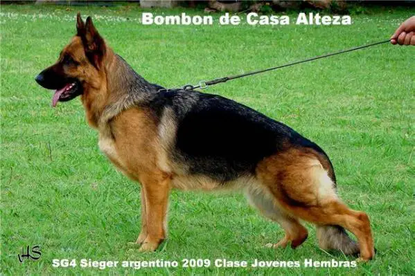 Bombon De Casa Alteza