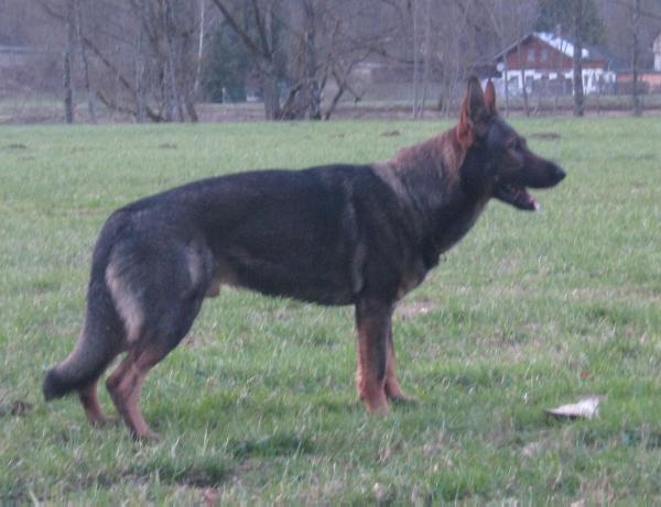 V Kelvin van Tiekerhook