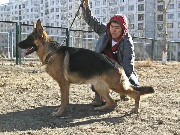 Jessy (2007) 'Mongolia'