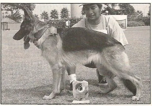 Sascha von del Herlo