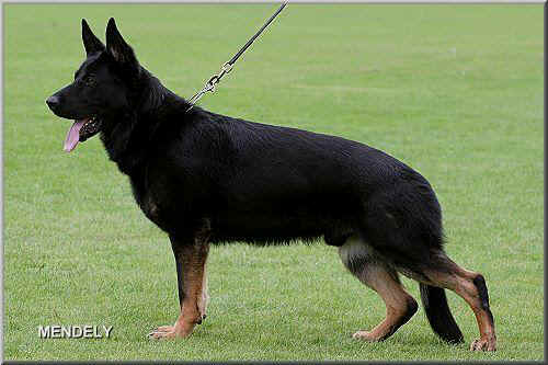 V Isko von der Schiffslache