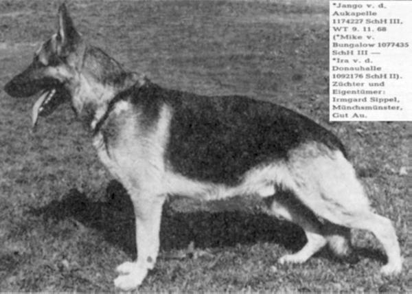 Jango von der Aukapelle