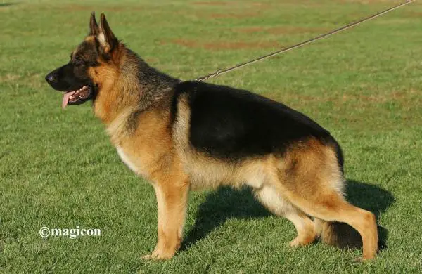 VA1BG,VA 2 SERBIA,RO Dax De Adolf